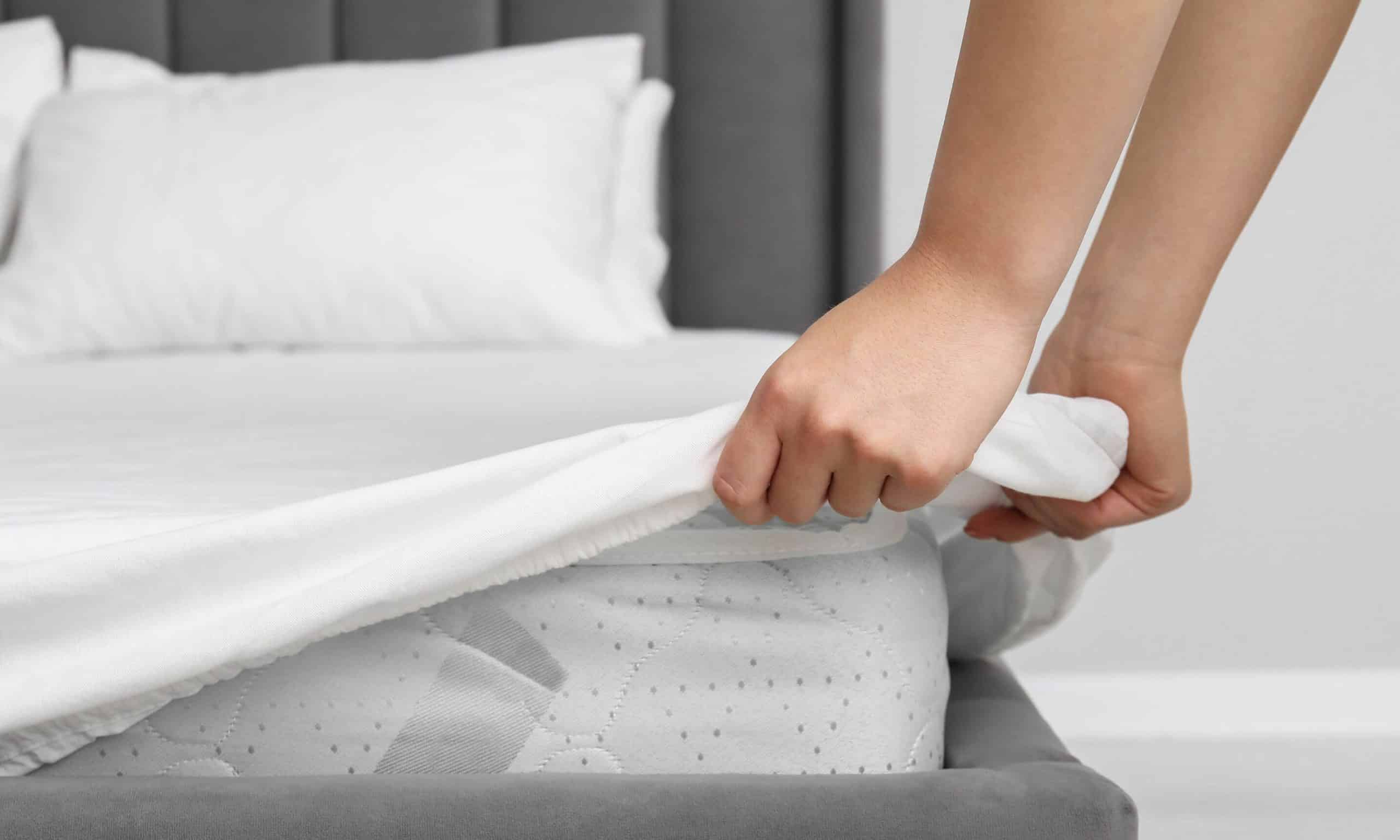 Bolor na cama box spring: causas, consequências e prevenção